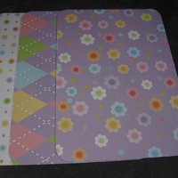 Coordinating Cardstock 4x6 Photo Mats