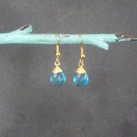 Blue Crystal Briolette Earrings