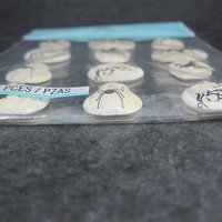 Jolees Dimensional White Pumpkin Halloween Stickers Discontinued