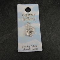 Silver Plated Gift Present Charm
