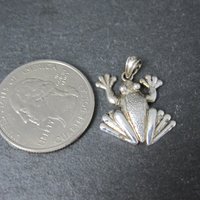 Sterling Silver Frog Pendant
