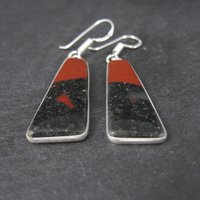 Sterling Silver Petrified Wood Earrings