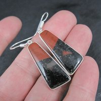 Sterling Silver Petrified Wood Earrings