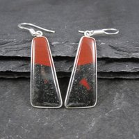 Sterling Silver Petrified Wood Earrings