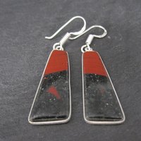 Sterling Silver Petrified Wood Earrings