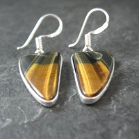 Sterling Silver Tigers Eye Earrings