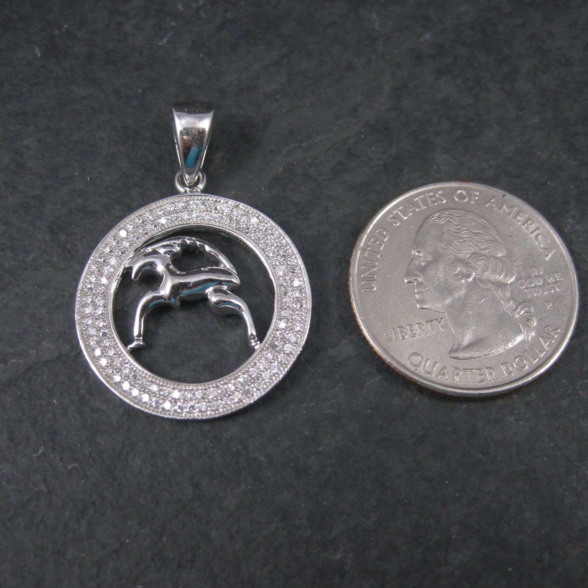 Sterling Zodiac Capricorn Pendant