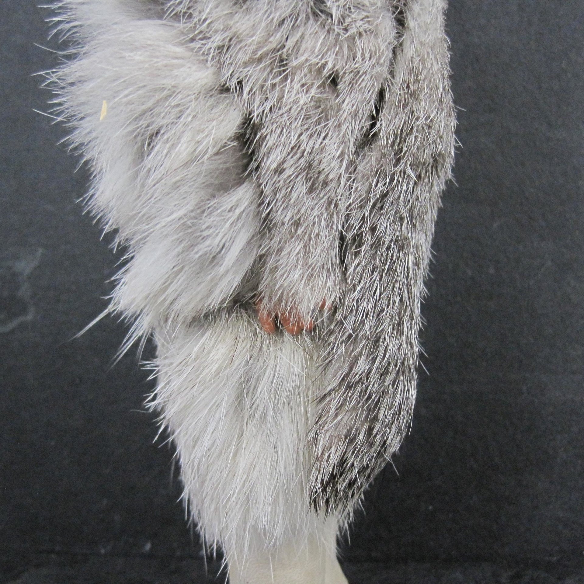 Vintage Sleepy Eye Native American Doll 7"